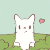 猫汤物语手机官方版