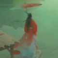 寻道大千手机版