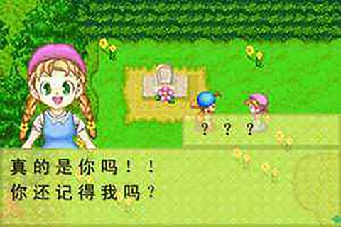 牧场物语矿石镇的伙伴们游戏
