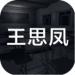孙美琪疑案之王思凤官方版