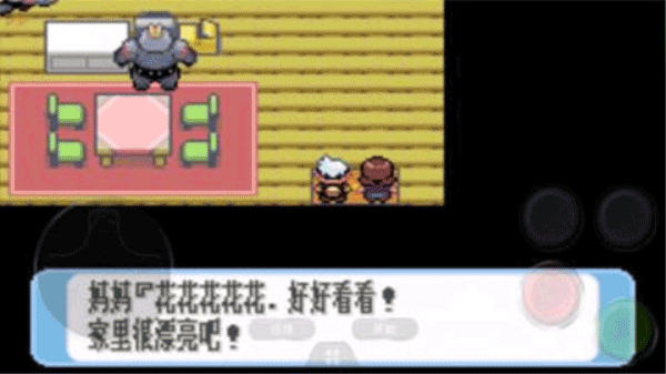 口袋妖怪红宝石中文版游戏