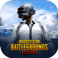 星空PUBG轻体新版直装