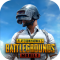 pubg国体原版