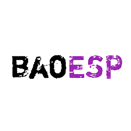 baoESP安全版
