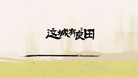 这城有良田游戏大全