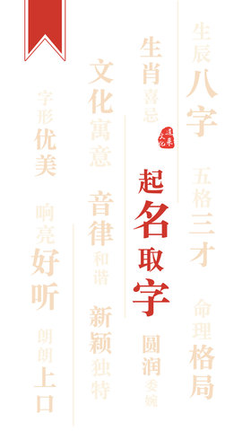 起名取名字大师游戏