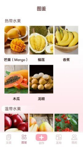 水果王国 第2张图