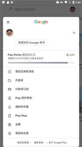谷歌框架正版(Google Settings) 第3张图
