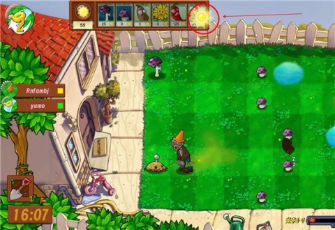 植物大战僵尸生态版 第6张图