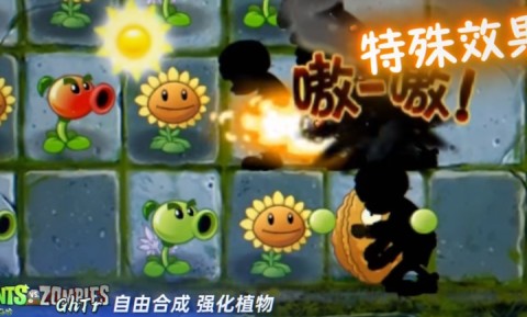 植物大战僵尸GhTr版游戏