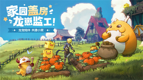 龙骑士学园游戏