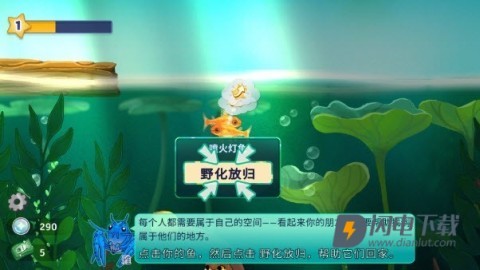 池趣 第6张图