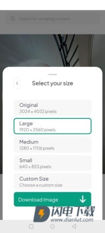 pexels免费素材网 第3张图
