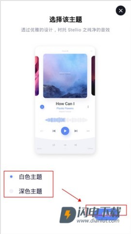 蜥蜴音乐 第3张图