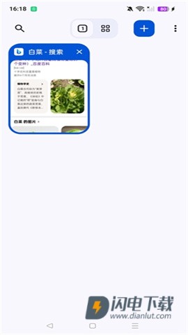 Cromite浏览器APP