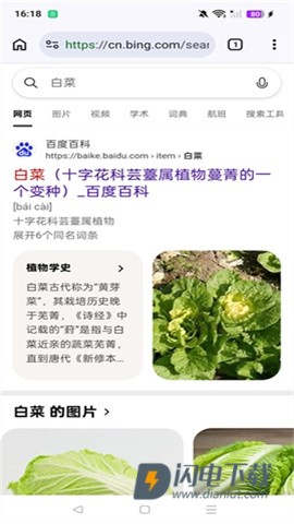 Cromite浏览器APP