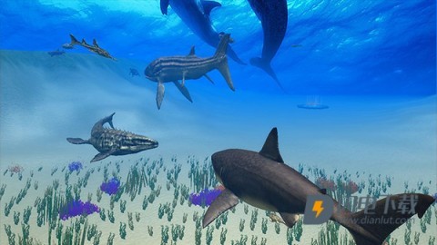 巨齿鲨模拟器3D游戏