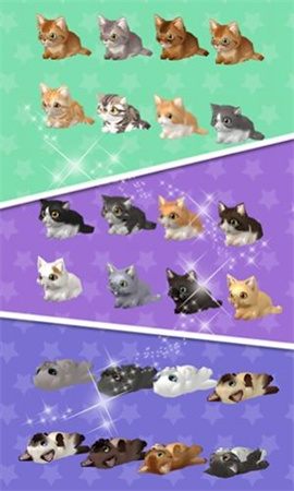 糖果猫世界 第3张图