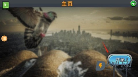 鸽子模拟器 第1张图