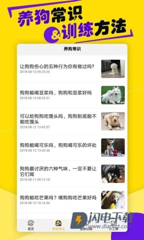 狗语翻译器 第1张图