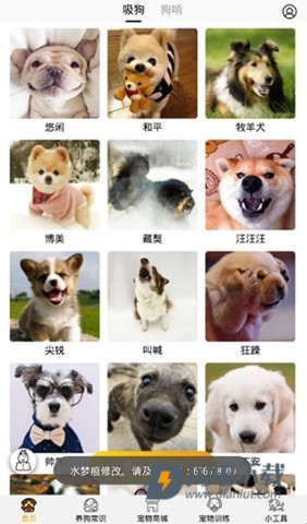 狗语翻译器 第2张图