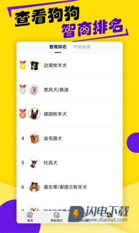 狗语翻译器APP