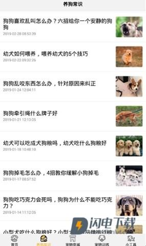 狗语翻译器 第3张图