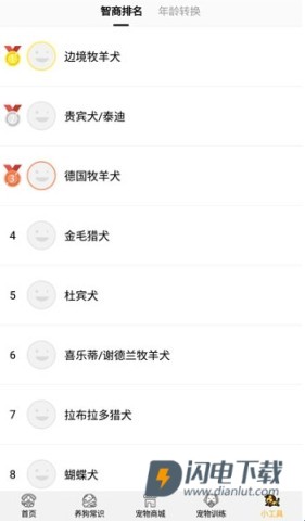 狗语翻译器 第6张图