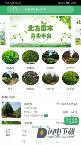 苗木直卖 第1张图