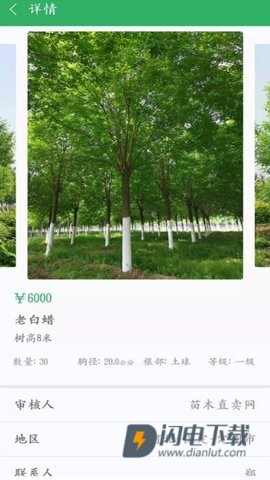 苗木直卖 第2张图