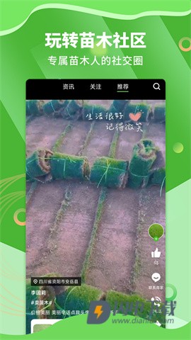 苗木通 第2张图
