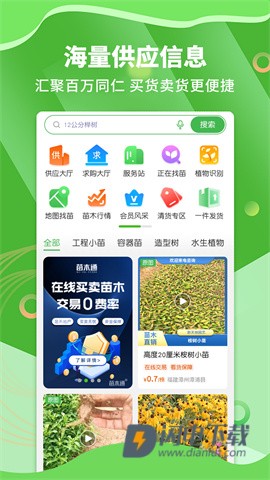 苗木通 第3张图