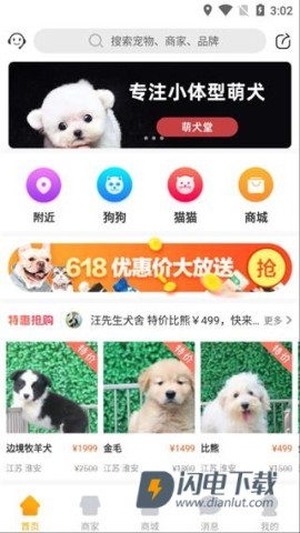 宠物市场 第2张图