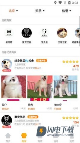 宠物市场 第3张图