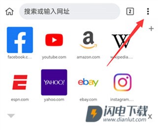 Kiwi浏览器安卓版 第7张图