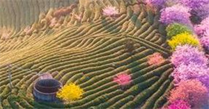 edge浏览器手机版怎么打开阅读模式