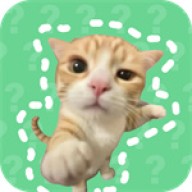 猫meme语音盒