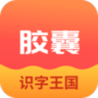 拾光胶囊