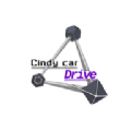 辛迪车祸模拟器(CindyCarDrive)