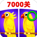 大家找不同(游戏)