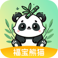 福宝熊猫