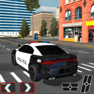 警察：汽车追逐3D(Police Cop: Car Chase 3D)