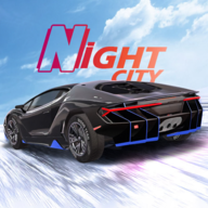 真正的汽车驾驶夜城(Real Car Driving Night City)