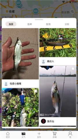 渔获潮汐天气 第4张图