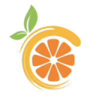 Citron模拟器