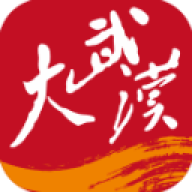 大武汉