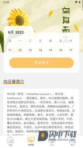 向阳流量 第3张图