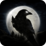 night crows夜鸦