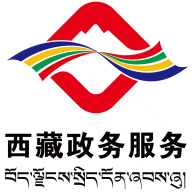 西藏政务