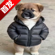 tao管家